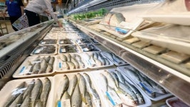 맛으로도 보양식으로도 최곤데…이달의 수산물로 선정된 이 수산물 정체