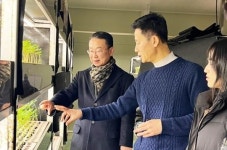 전남 영광군에서 키운 ‘새싹인삼’ 일본 수출 본격적으로 추진