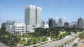 대전시, 설 연휴 5일 교통대책 가동