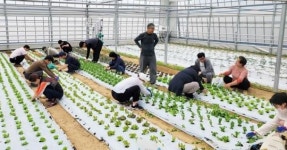 전남 담양군, ‘2026년 신규농업인 기초영농기술교육’ 교육생 모집