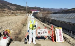 전남도, 구례 육용오리 농장서 조류인플루엔자~방역 강화