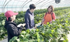 전남 담양군, “선배 귀농인의 생생한 비결, ‘귀농닥터’로 배우세요”