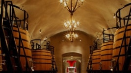 해외재산도 훑는 검찰…전두환 막내 아들 포도농장 주목