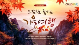 단풍 명소부터 스파까지‥ 단풍놀이 저렴하게 떠나기