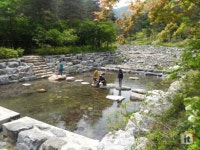 짙은 솔향 폴폴나는 강릉솔향수목원으로 주말여행 어떨까
