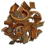 노교수의 난치병 한약치료 이야기 공황장애