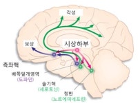 노교수의 난치병 한약치료 이야기 공황장애의 원인