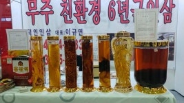 가람푸드써비스서울컨벤션고지점주 | [컨벤션TV] 지역 특산물과 달달한 디저트를 함께 만나는 'COEX FOOD WEEK'