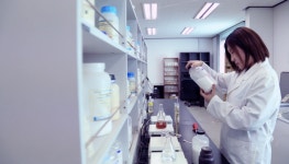 계륵같던 ‘염화칼슘’ 이제 안녕…스타트업·중기, 친환경제설제 개발 주도