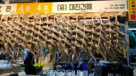 [컨벤션TV] 가락시장서 생선 싸게 사려면 12시 전에 가라?