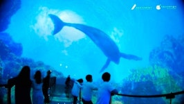 미디어프론트, 360도 극장 충북 제천서 운영