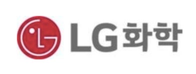 LG화학, 배터리 경쟁력 강화 위해 본부 독립 포함 다각도 방안 모색