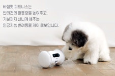 [평화로운 펫코노미] 외출한 반려인 대신 댕댕이 돌봐요 펫 케어 로봇 눈길