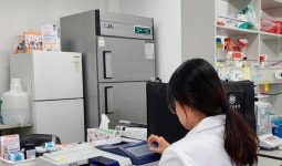 1만원으로 반려동물 10가지 질병 신속진단 유리벳10, 개발 과정 들으니