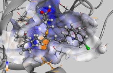 [스마트의료·헬스케어] “데이터를 디지털 자산으로” 국내 제약사 글로벌 진출 성공의 열쇠