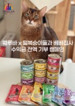 푸드펫 웨루바, 펫플루언서 ‘베베집사’와 판매 수익금 기부 캠페인