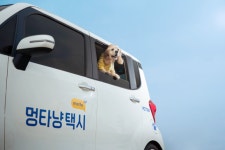 반려동물 전용 ‘멍타냥택시’, 2021 오픈 네스트 200 선정
