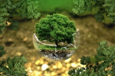 [메타버스 날개 단 ESG] 지자체가 ESG 행정 외친 이유는