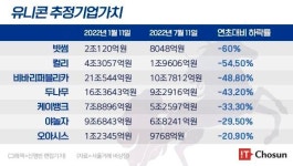 증시불황에 쪼그라든 유니콘 가치…스타트업 옥석가리기 시작