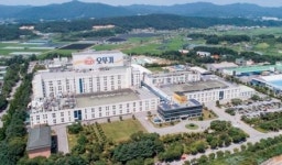 오뚜기, 오뚜기라면지주·물류서비스지주 흡수합병