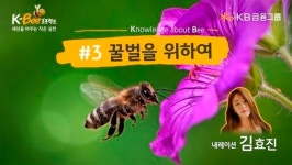 꿀벌 진심 KB금융, 세계 벌의 날 맞아 특집 영상 공개