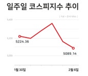 뒤늦게 '삼전닉스' 올라탄 개미들 