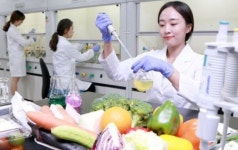 현대그린푸드, 소속외 근로자 2년새 약 1000명 줄여