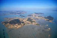 동서발전, 41MW 신안 자라리 태양광사업 참여…43억원 출자