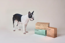 JW생활건강, 반려동물 영양제 브랜드 ‘라보펫’ 출범