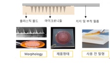 제약·화장품 활용 무궁무진한 마이크로니들 개발 경쟁 뜨겁다