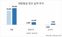 지난해 화물로 날아오른 대한항공…500대 기업 순위 10계단 상승