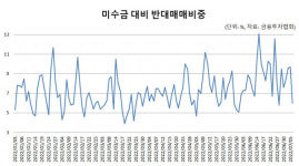 대형 증권사 동참한 반대매매 완화…“단발성 부양책에 불과”