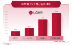 LG화학, CNT 생산능력 확대 가속화…“글로벌 수요 증가 신속 대응”