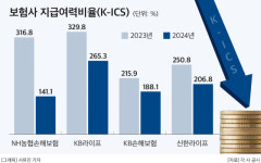 보험사, 줄줄이 지급여력 악화…농협손보 141%p↓