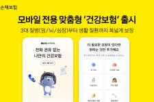 보험료_스마트로페이코 | 카카오페이손보, 모바일 맞춤형 건강보험 출시