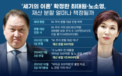 [그래픽] 세기의 이혼 확정한 최태원·노소영, 재산 분할 얼마나 책정될까