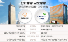 생보사, 저축은행·캐피탈로 영토 확장…한화·교보 ‘종합금융’ 속도