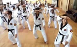 제2 강남스타일 K타이거즈 TV 미디어판도 파괴