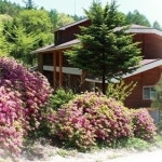 국립자연휴양림 무료 개방, 산의 날 기념…주차도 무료