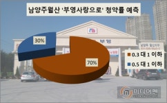 [이슈 분양 현장]전세난 해소에 도움 안되는 민간 임대①…남양주월산 사랑으로 부영