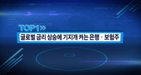 다시 떠오르는 보험주...롯데손보-흥국화재만 왕따