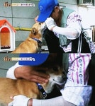 동물농장 똘이 영화보다 진한 감동 눈길