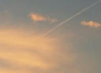 오늘의 운세(12월26일·띠별 총운)-소띠 침선파부/용띠 안중지인/닭띠 설참신도