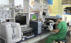 기업성장 숨은 조력자 R&D, 이제는 양보다 질