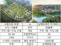 [동탄2 다윗과 골리앗 맞대결] 사랑으로 부영2차·남해오네뜨 돈되는 단지는?