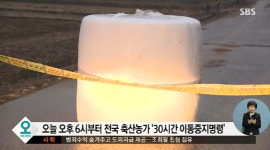 전국 축산농가 이동중지 명령, 네티즌 닭·소·돼지 다 올라 순진한 축산농 피해
