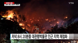 강릉 성산면 산불 재발화... 네티즌 제발 비라도 내렸으면 꺼진 불도 다시 보자