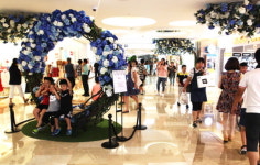 롯데월드몰, 여름 테마로드 수국 꽃길 선봬