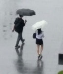 오늘밤~내일 시간당 30mm물폭탄…날씨예보 광복절 비 피할 곳 어디? 