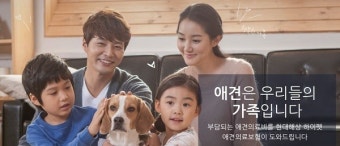 늘어가는 유기동물 '반려동물보험' 해결책 될까?